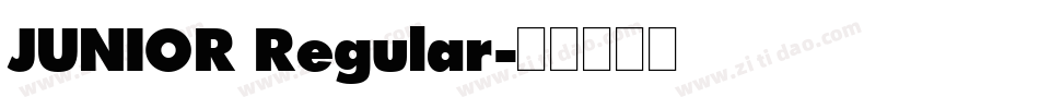 JUNIOR Regular字体转换